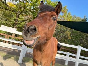 どこで見分ける？