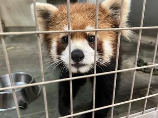 飼育の日企画・・・飼育員あるある