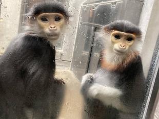 同居の練習をしています!