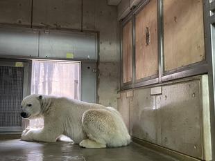 のぞいてみたい...？