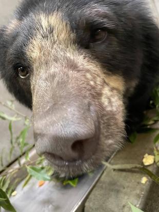 メガネ👓通信 新年度始まる。