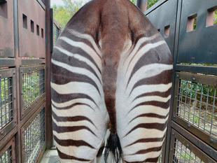 さて何キロでしょう?!