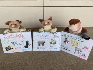 3月のどうぶつ教室が終わりました🌸