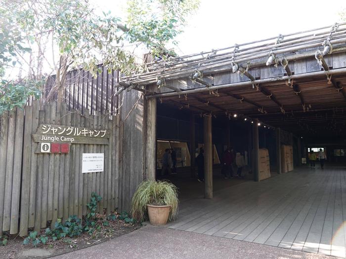 ⑤ジャングルキャンプ.jpg
