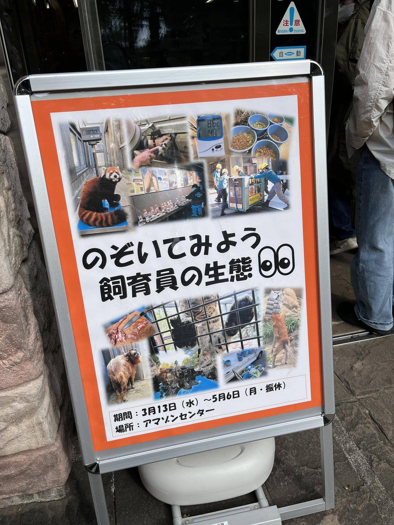 飼育の日企画・・・飼育員のいろんなお仕事の写真