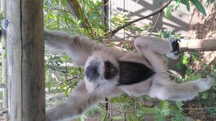 プロイはどーこだ?