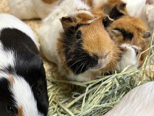 Pick up モル！①