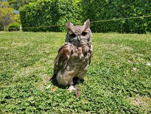 アービーの最近