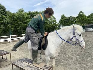 馬に乗るのは右から！？