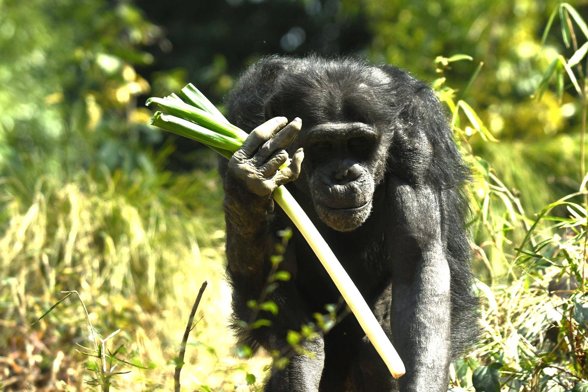 5月の【ズーラシアどうぶつ教室】🐒✨の写真