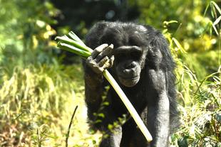 5月の【ズーラシアどうぶつ教室】🐒✨