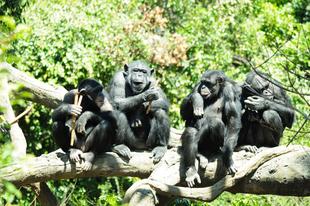 5月の【ズーラシアどうぶつ教室】終了～🐒