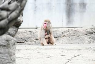 ミロが出産しました！