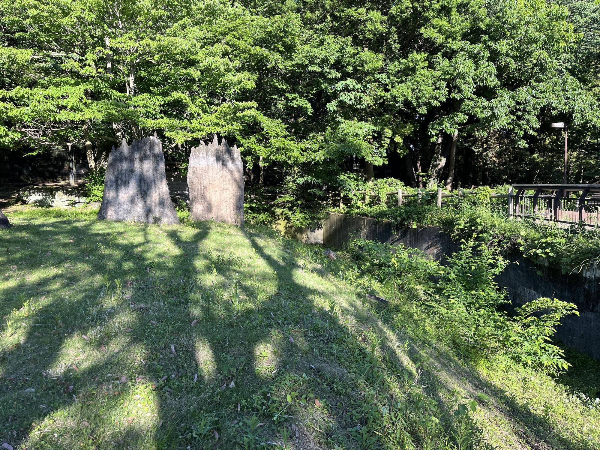 アカカンガルー飼育担当者の休園日の写真