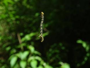 ～　イリュージョン？　～