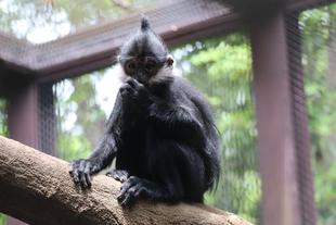 ユズぽん通信8　ポンズ1歳おめでとう！！