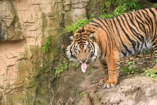 アカラの誕生日.........と翌日。