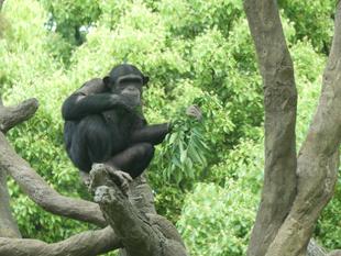 🍃若葉萌ゆる季節🍃