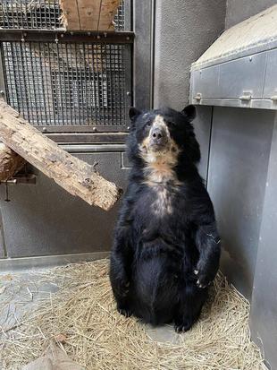 メガネ通信👓　美雨推し