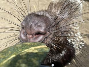 年中トガッてます！！