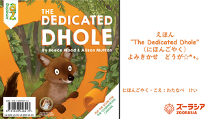 World Dhole Day☆*+。