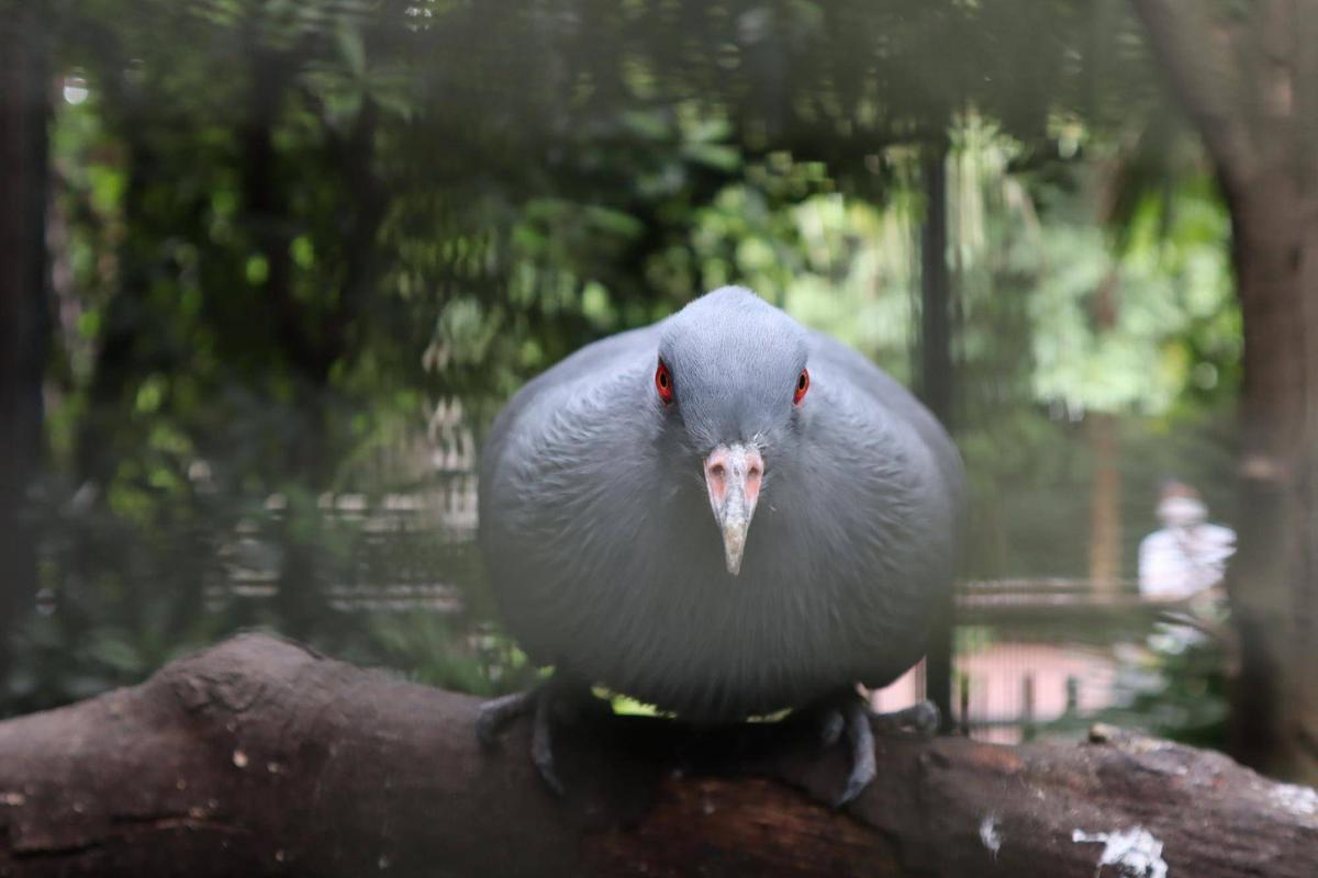 たくさんのありがとう|飼育日誌｜ブログ|よこはま動物園ズーラシア公式 