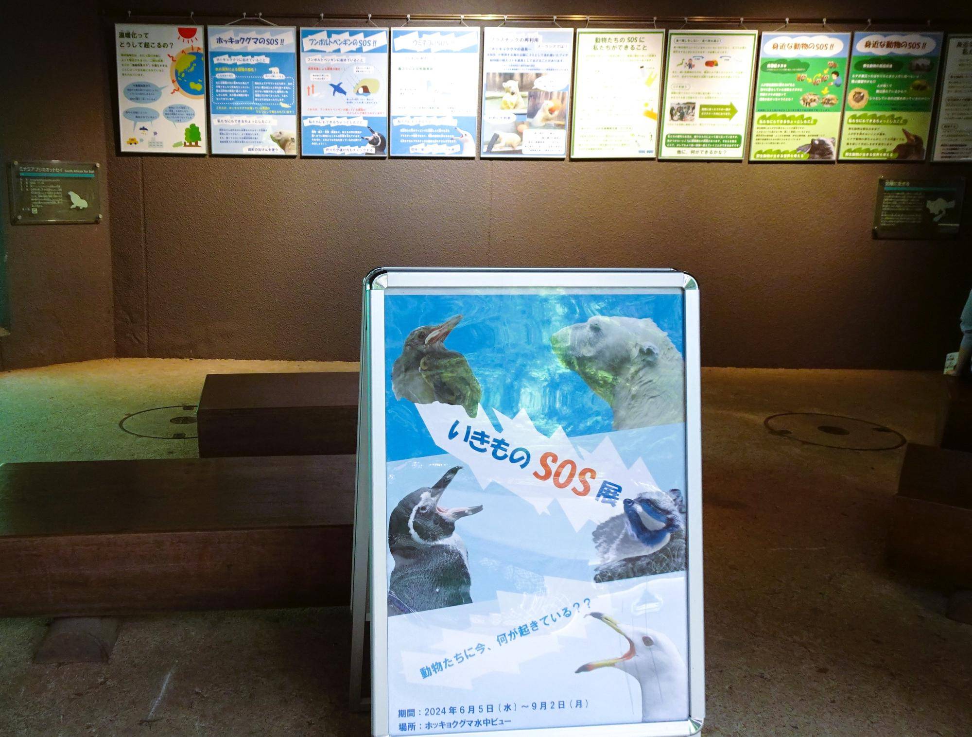【いきものSOS展】、開催中です!の写真