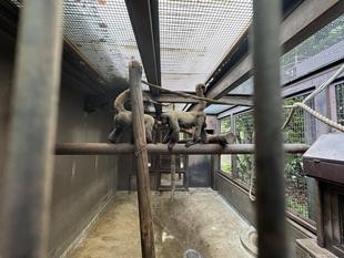 新たに仲間入り