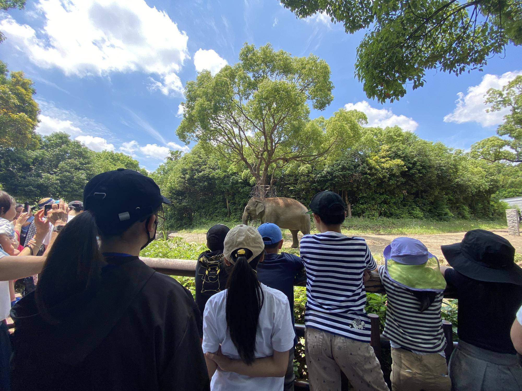 動物園のお仕事を実施しました!の写真