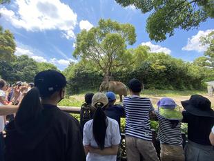 動物園のお仕事を実施しました!