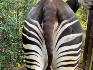 お誕生日おめでとう🎂