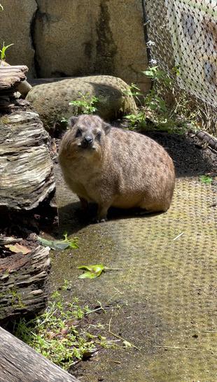 もちの誕生日‼