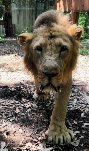 ヴェラの展示について
