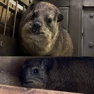 ベイク・ケーキの誕生日！