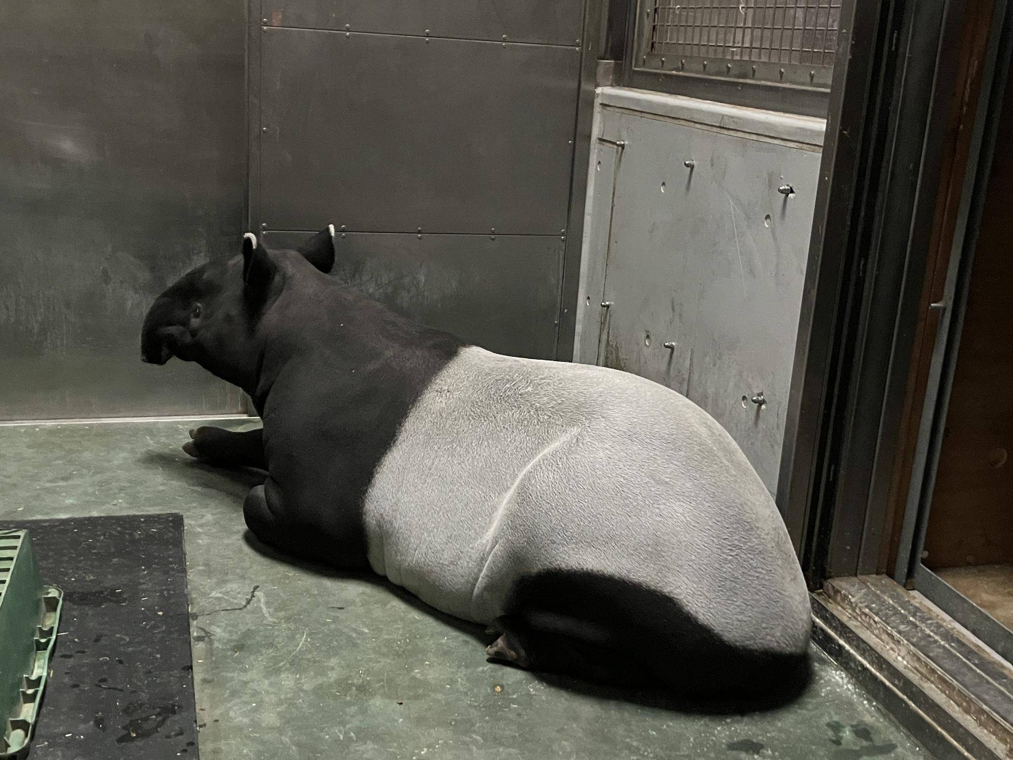 ~ひでおの近況~の写真