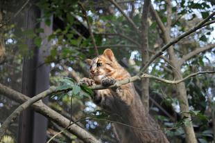夏に向け・・・