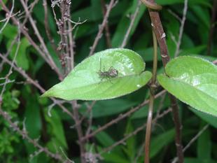 ~ アリ??! じゃない!! ~