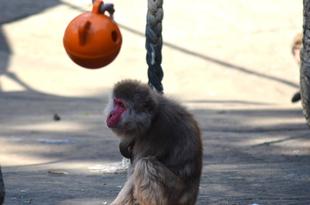赤ちゃんの愛称が決まりました!