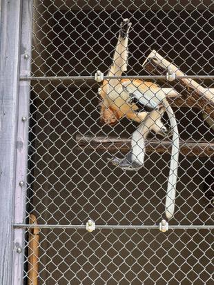 さかさまのせかい☆*+。