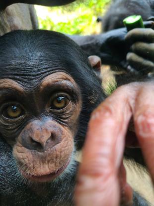 ヨシズ、頑張って！