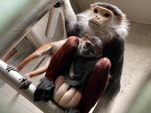 ダオ×FAMILY CODE:2 父