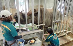 サイのサイ血してくだサイ