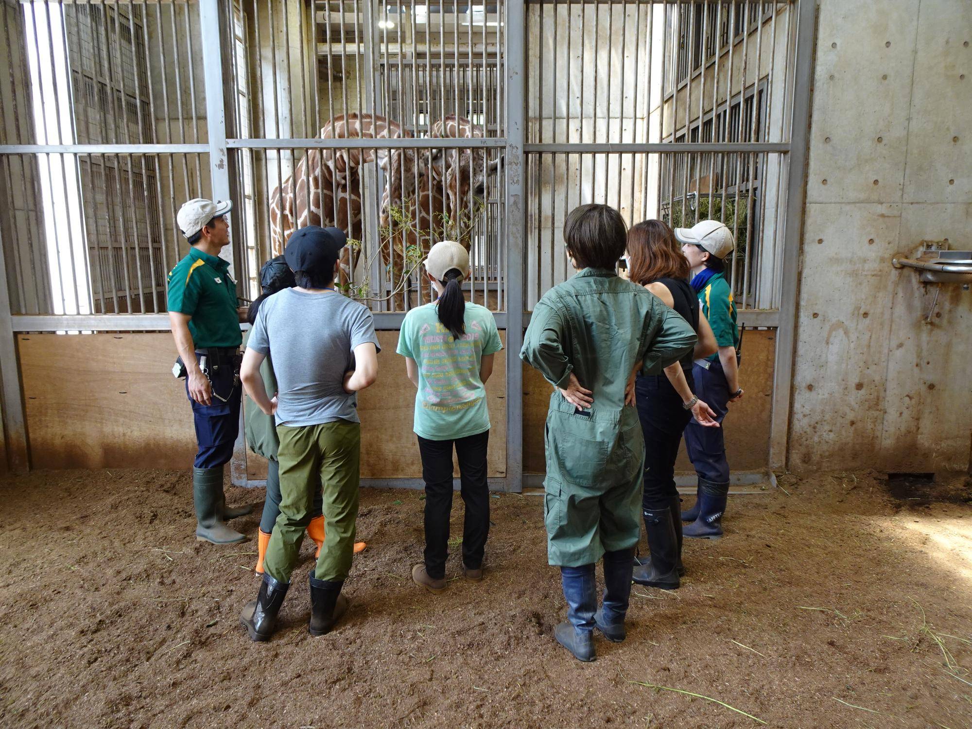 中学生以上が対象の「動物園のお仕事」を実施しました!の写真