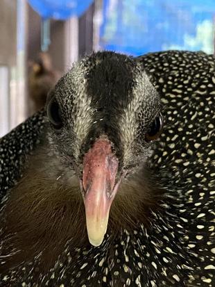 ジーッと見ています👀