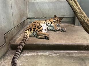 色々な休み方をお届け!