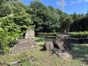 アカカンガルー・エミュー展示場がスッキリしました!