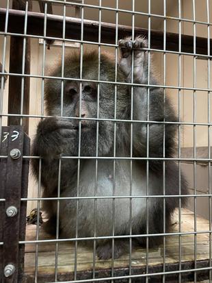 ミート18歳おめでとう!