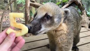 ベンジャミン５歳になりました！