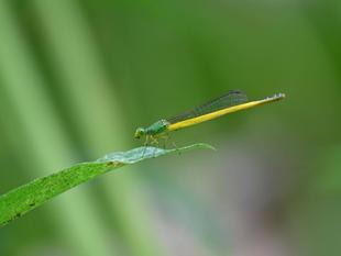 園長ブログ第一回 ～動物園の日常 Part I～