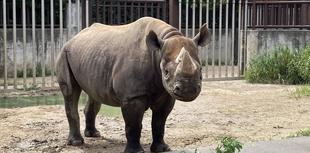 8月6日はクロサイのアキリの誕生日